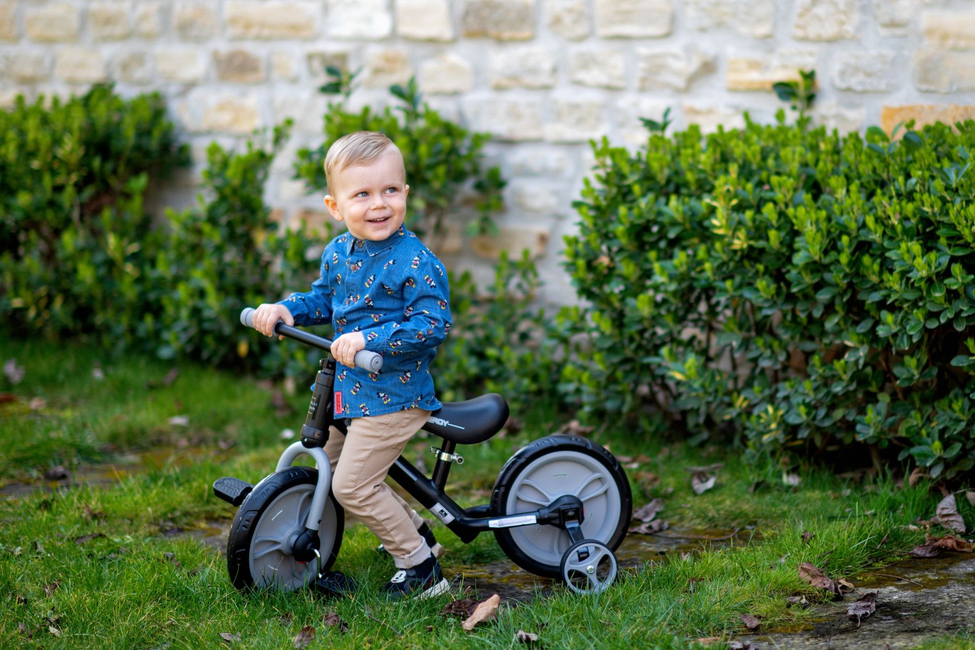 Bicicleta Energy cu pedale si roti ajutatoare Grey - Lorelli Junior 8