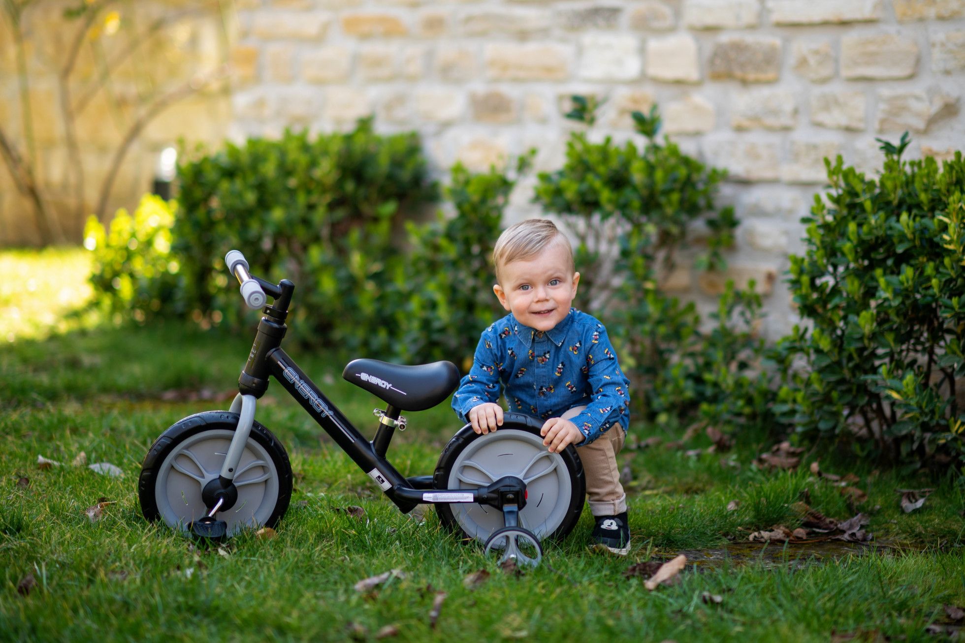Bicicleta Energy cu pedale si roti ajutatoare Grey - Lorelli Junior 10