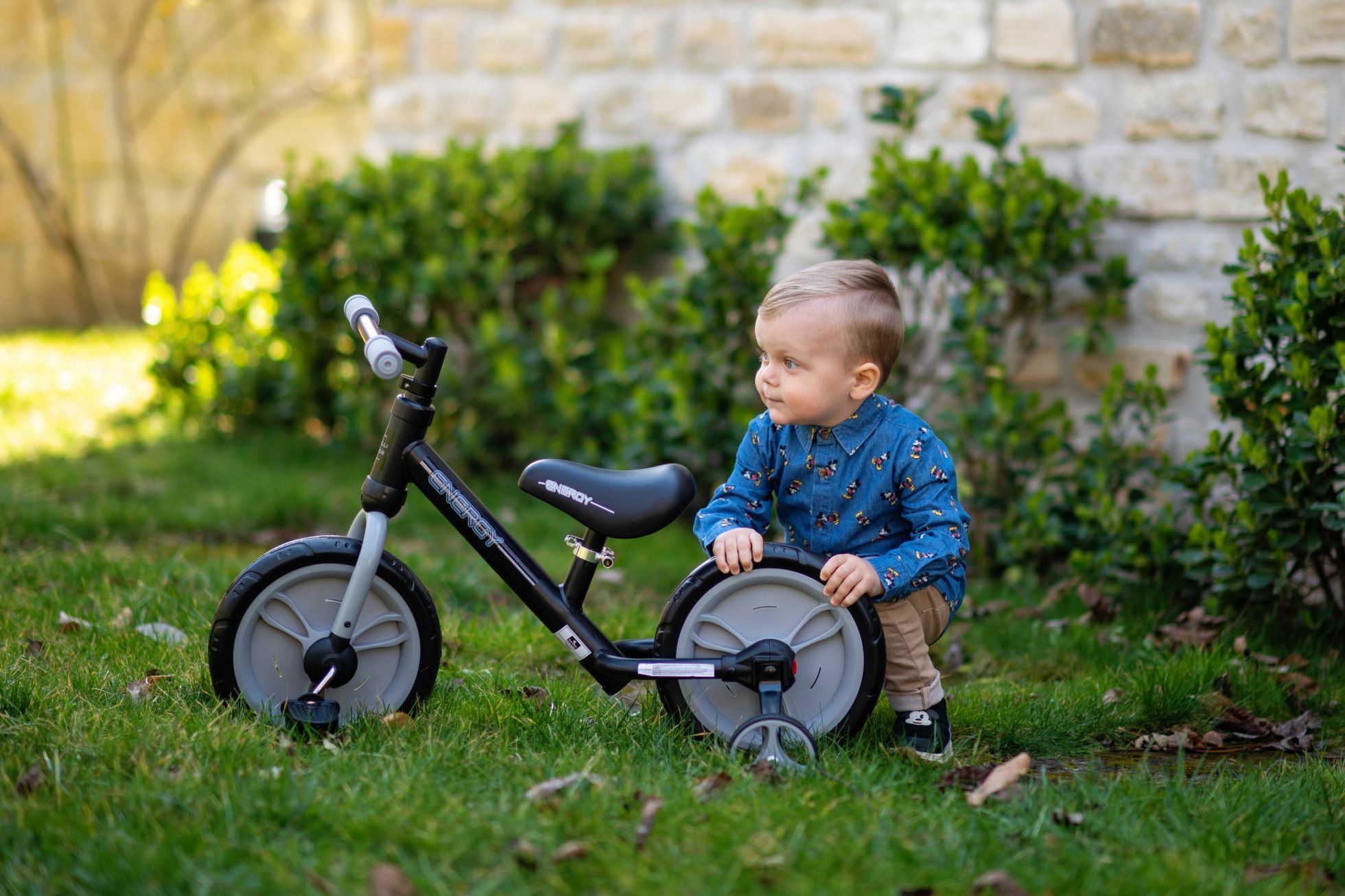 Bicicleta Energy cu pedale si roti ajutatoare Grey - Lorelli Junior 11