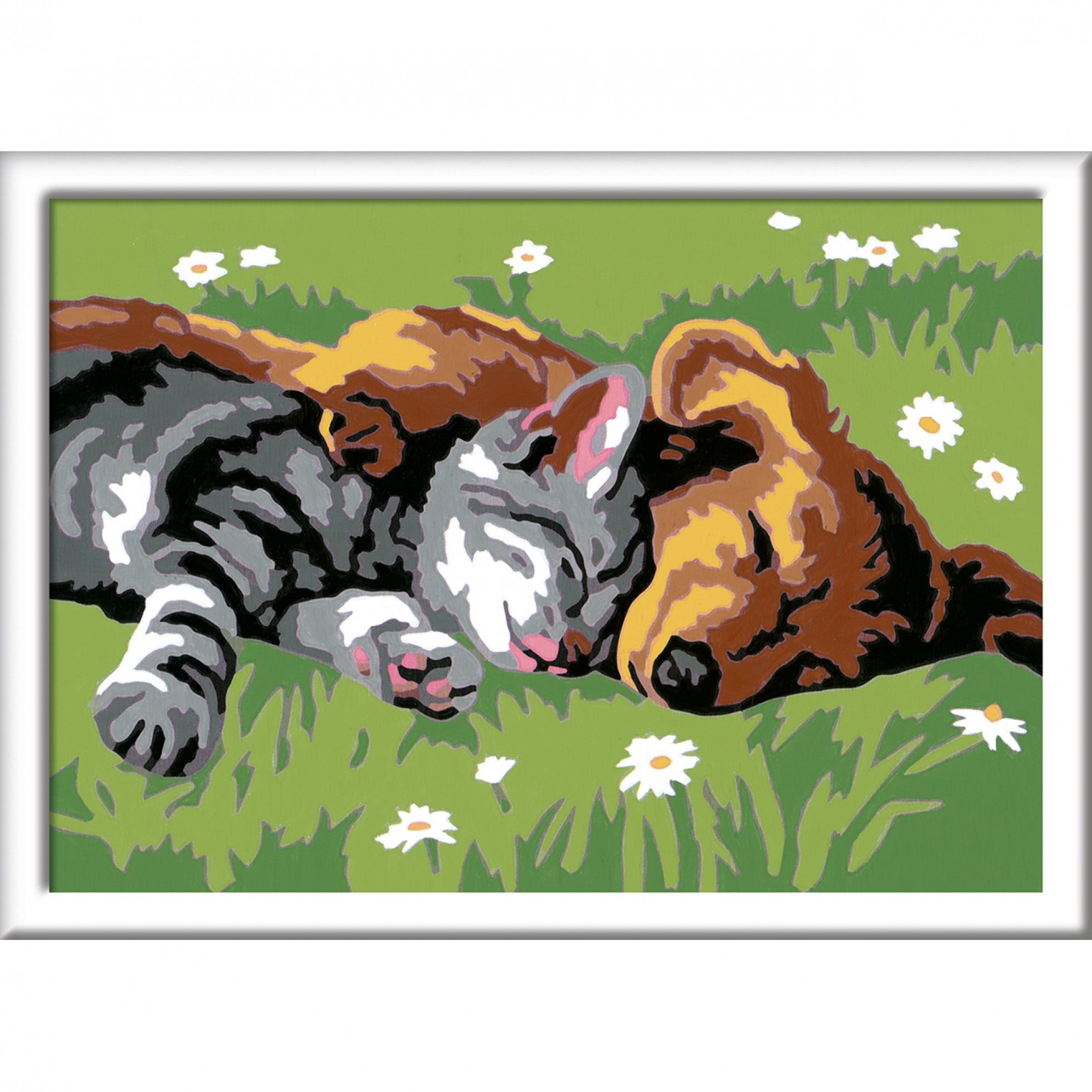 Pictura pe numere Catelus si Pisicuta - Ravensburger 2