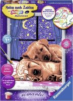 Pictura pe numere Catei Somnorosi - Ravensburger