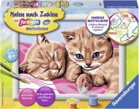 Pictura pe numere Pisicute - Ravensburger