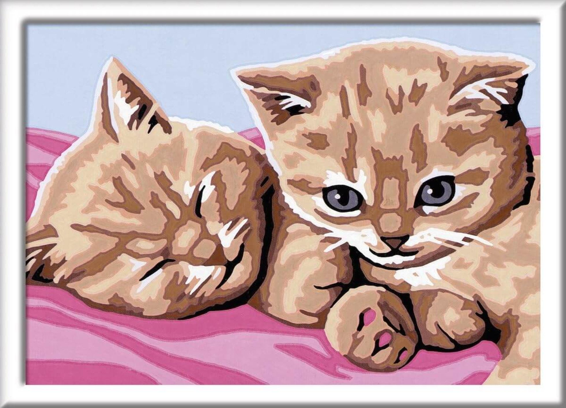 Pictura pe numere Pisicute - Ravensburger 2