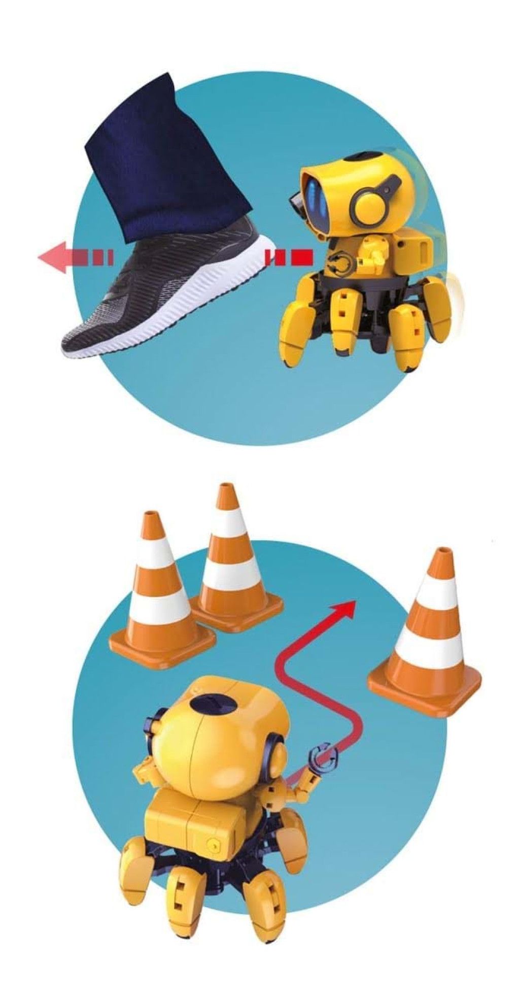 Robotul Tibo - BUKI France 9