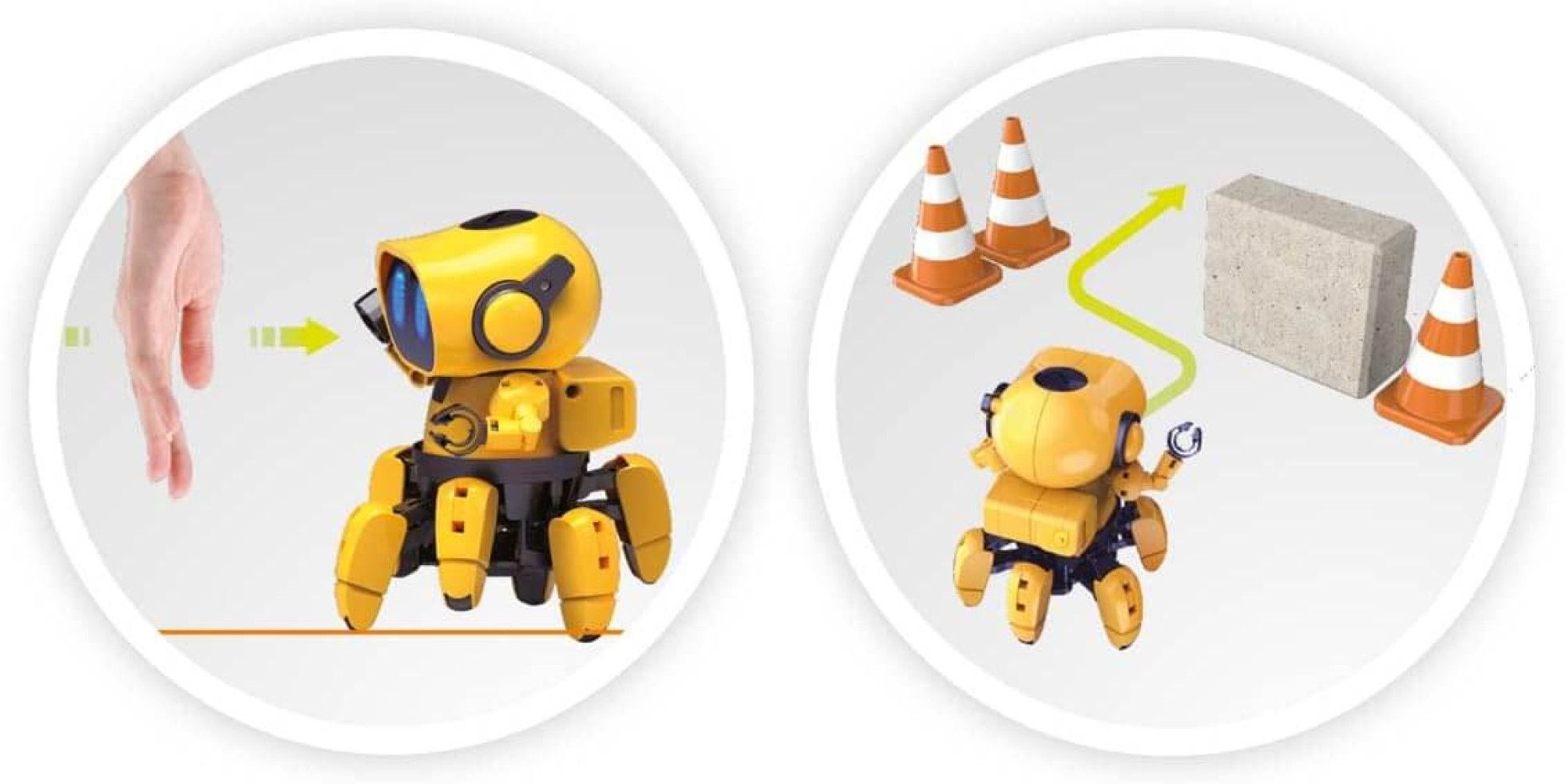 Robotul Tibo - BUKI France 8